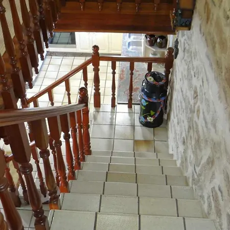 En Lira 9 Personas *